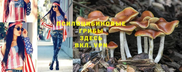 круглые Алексин