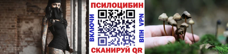 купить наркотики сайты  Перевоз  Галлюциногенные грибы мицелий 
